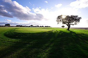B_GALISTEO_GOLF_02