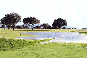B_GALISTEO_GOLF_03