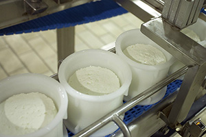 B_CASAR-DE-CACERES_08