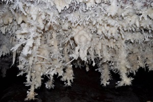 Cueva del Castañar