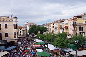 Martes Mayor of Plasencia