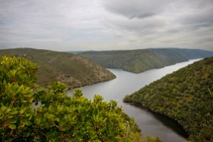 Cáceres Nature Reserves Month: Monfragüe and Tagus International 