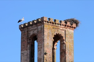 B_ALCAZABA_BADAJOZ_01