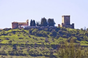 Nogales Castle