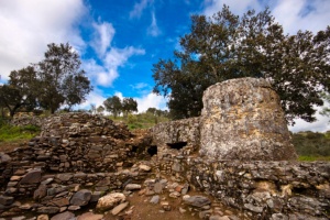 Castrejón de Capote