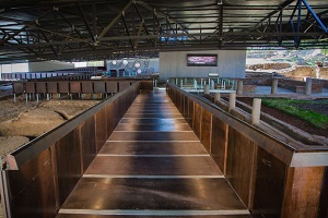 B_CasaDelAnfiteatro_2