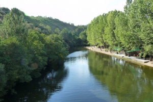 Los Angeles river - Pinofranqueado